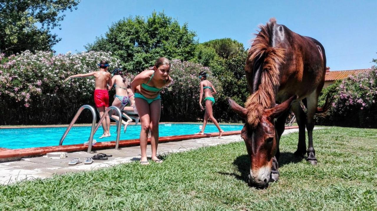 Agriturismo Il Bottaccino Monsummano Terme Bagian luar foto